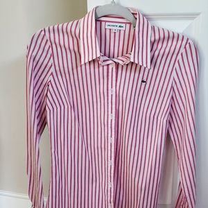 Lacoste shirt 36 women NWOT